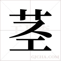 茎字组词