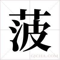 菠字组词