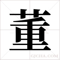 董字组词