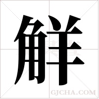 觧字组词