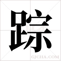 踪字组词