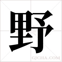 野字组词