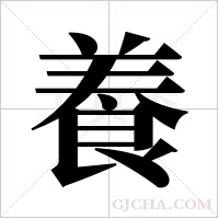 養字组词
