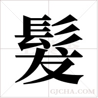 髮字组词