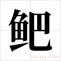 鲃字组词