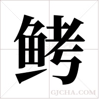 鲓字组词