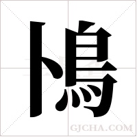 鳪字组词