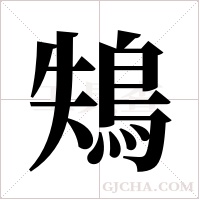 鴩字组词