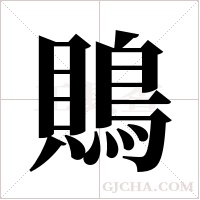 鵙字组词