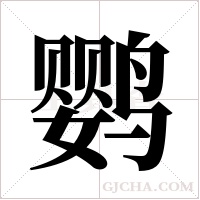 鹦字组词